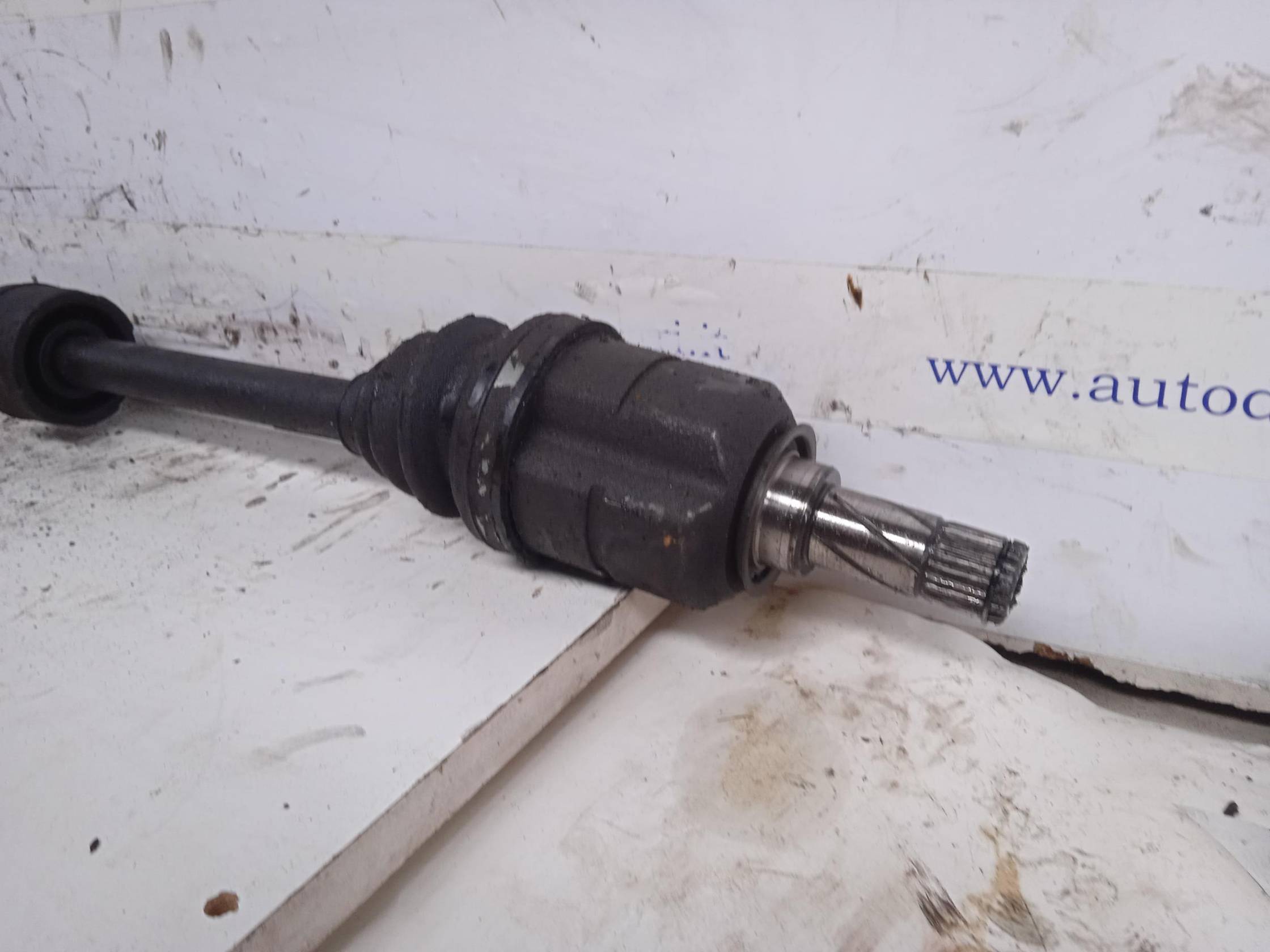 Semialbero ant. compl. dx.